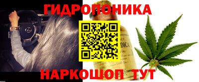 ПСИЛОЦИБИНОВЫЕ ГРИБЫ Апшеронск
